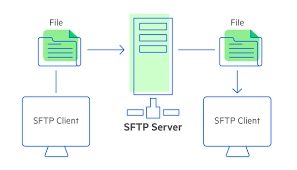 SFTP Nedir ve Kullanımına Dair Bilinmesi Gerekenler Web Hosting 
