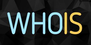 Whois Gizliliği Kullanmanın Artıları ve Eksileri: SEO ve Güvenlik Açısından Analiz
