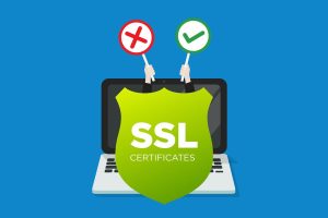 Wildcard SSL Sertifikası mı, Multi-Domain SSL mi? İşletmeniz İçin Hangisi Daha Avantajlı?